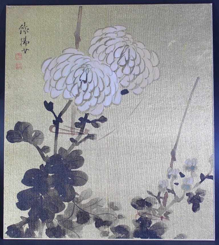 菊花