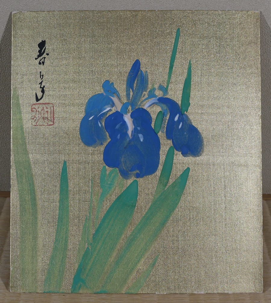 菖蒲（色紙）