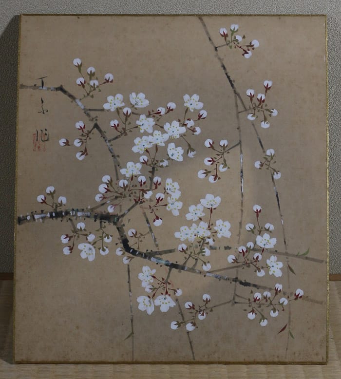 夜桜（色紙）