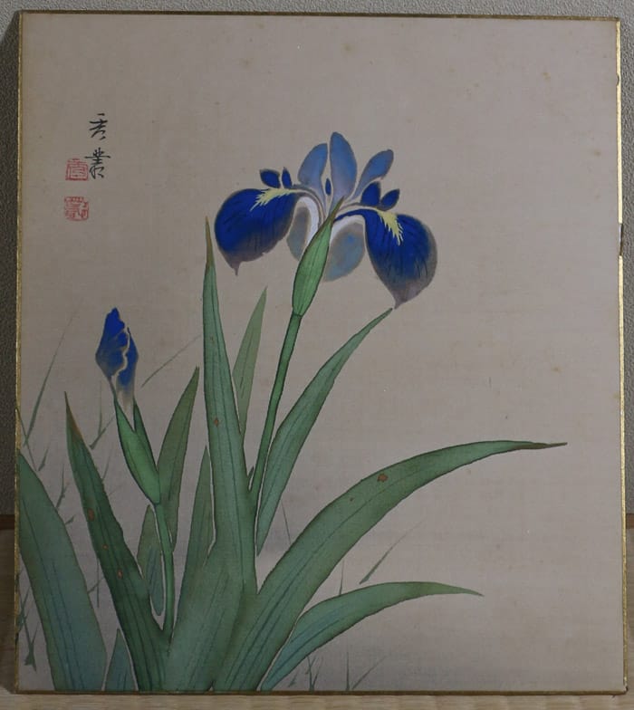 菖蒲（色紙）