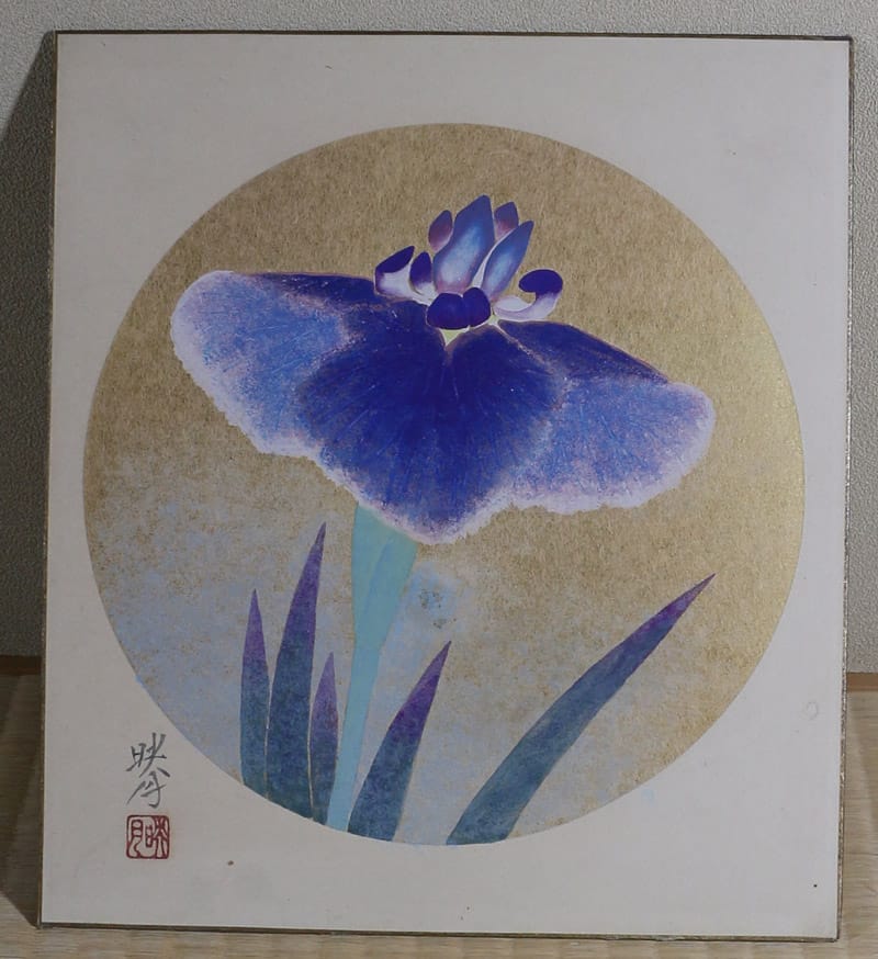 菖蒲(円窓色紙)