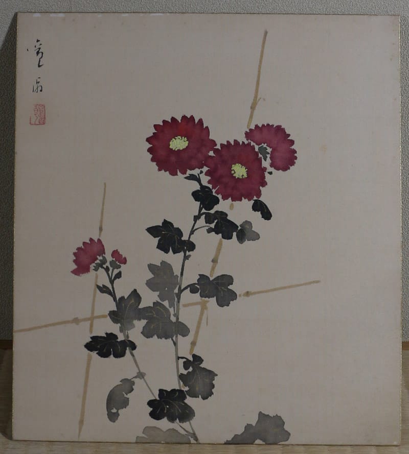 菊花（色紙）