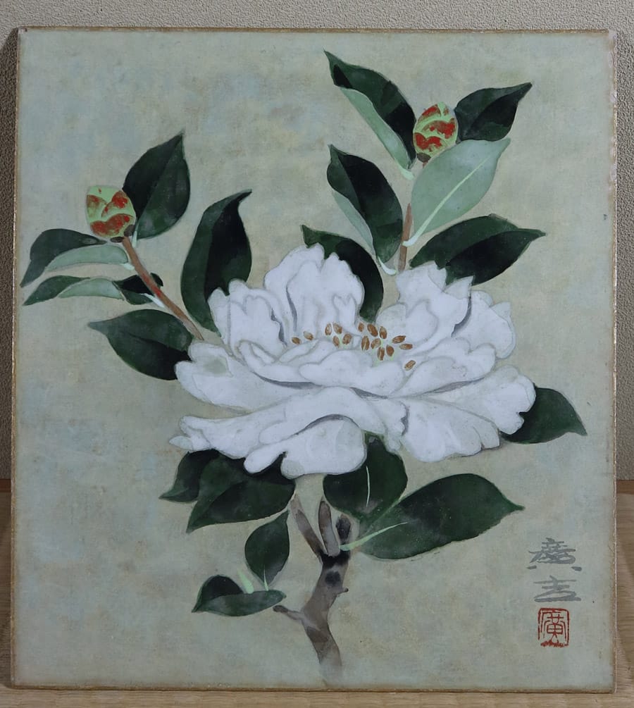 山茶花（色紙）