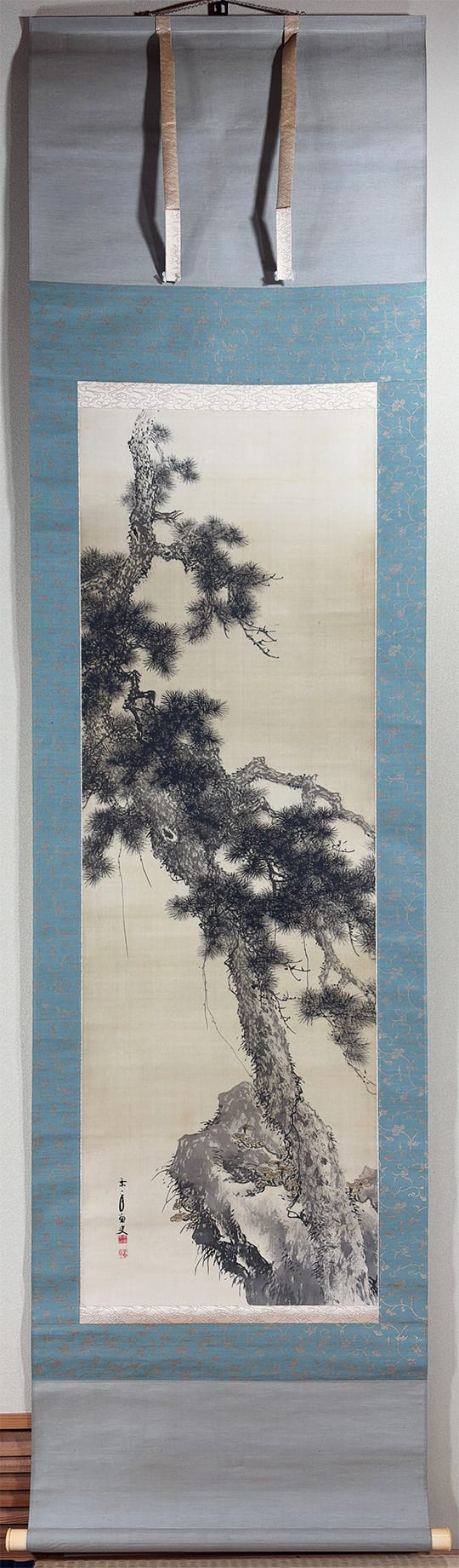 松芝不老