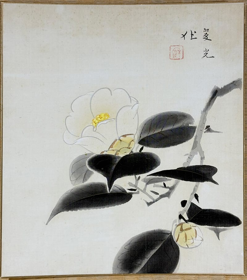 椿