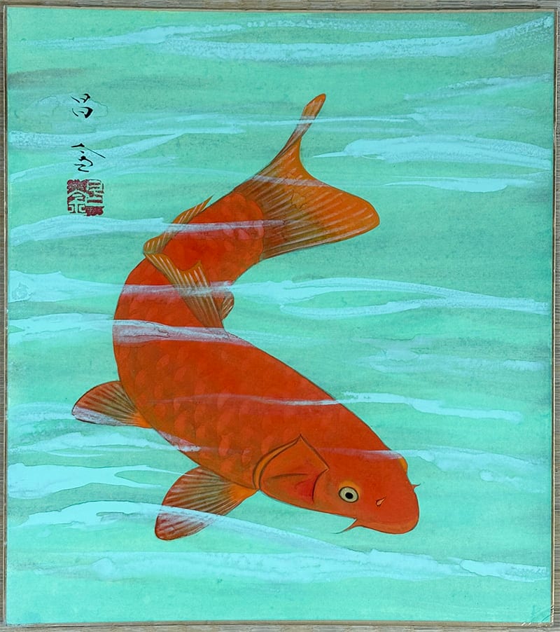 鯉