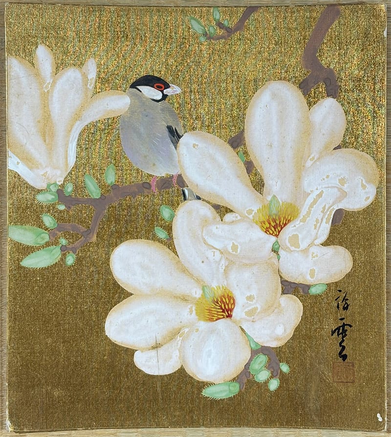 白木蓮