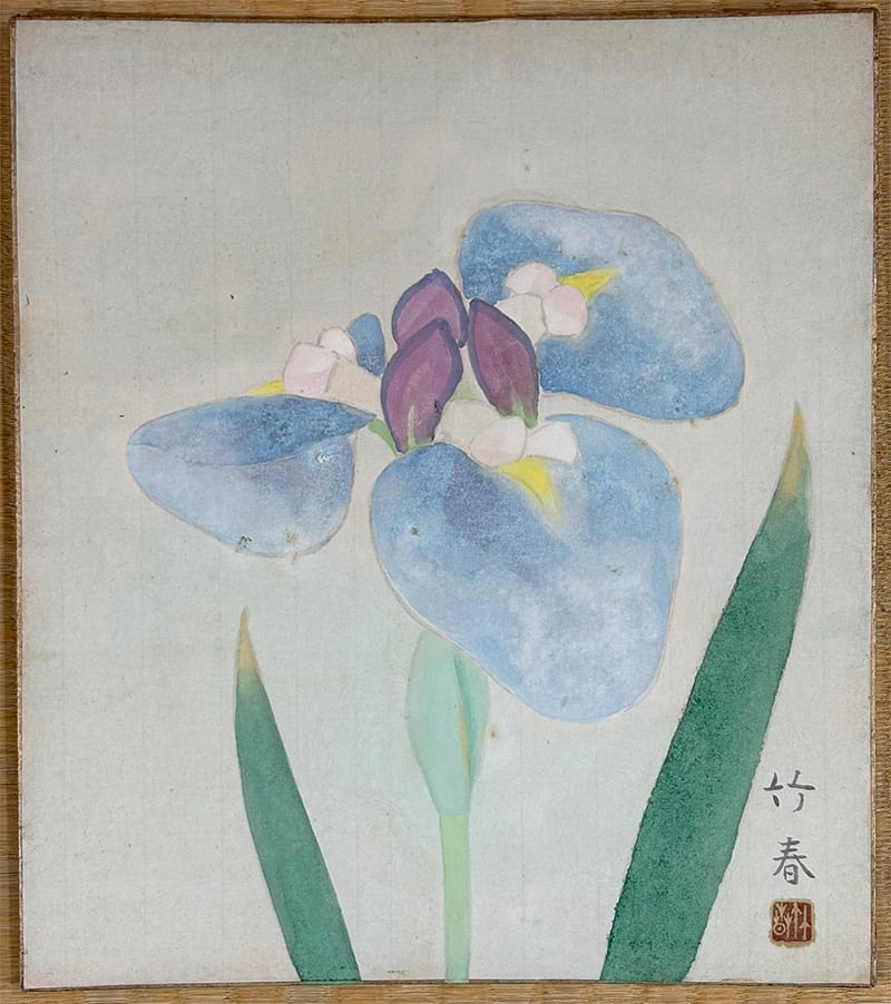 菖蒲(色紙)