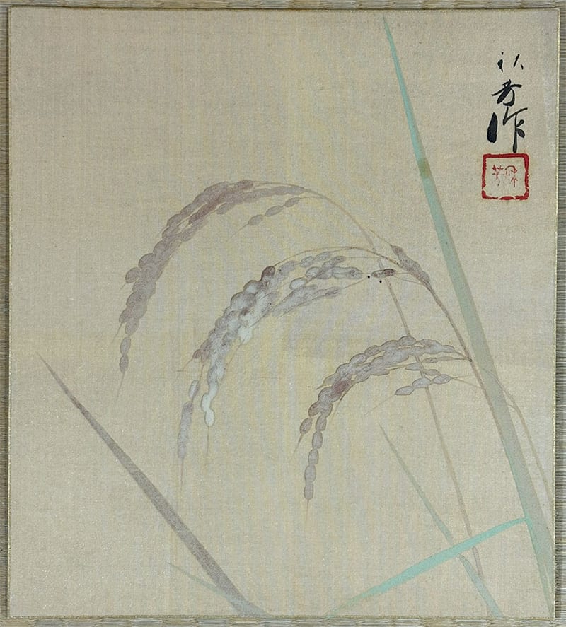 稲穂(色紙)