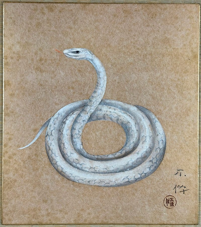 巳(蛇)(色紙)