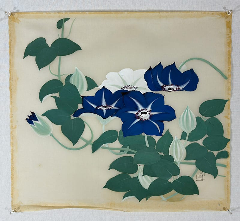 鉄線花｜まくり・未表装