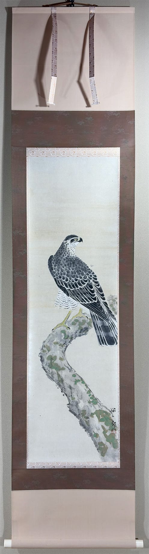鷹