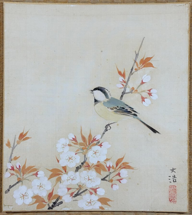 桜花小禽｜色紙｜【貼り替え済】