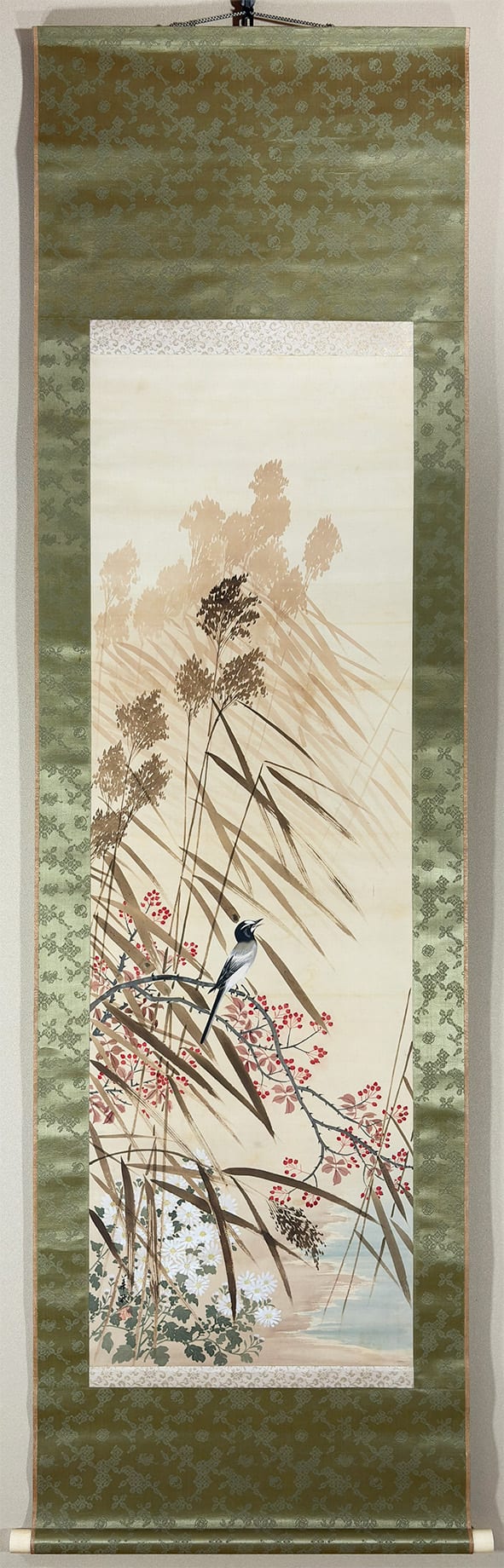 晩秋鶺鴒