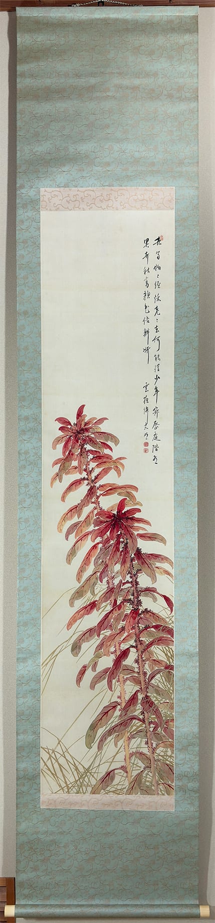 葉鶏頭