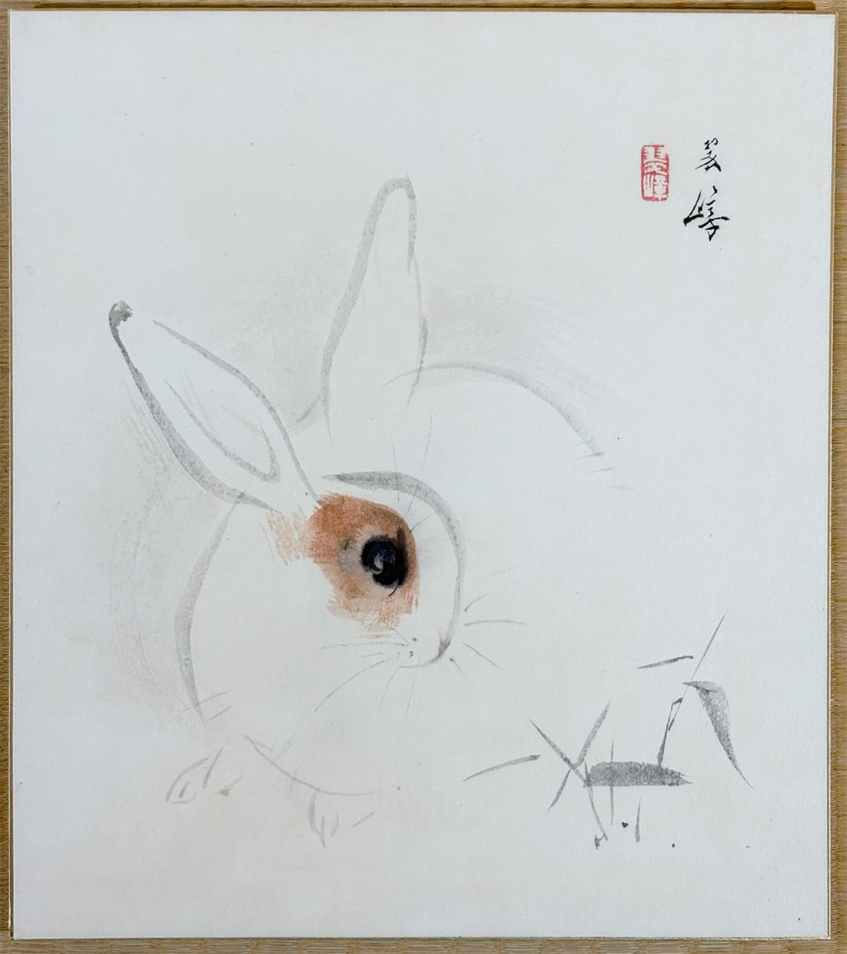 兎｜色紙