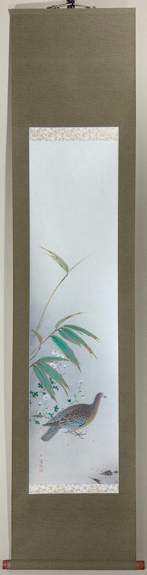 山鳩