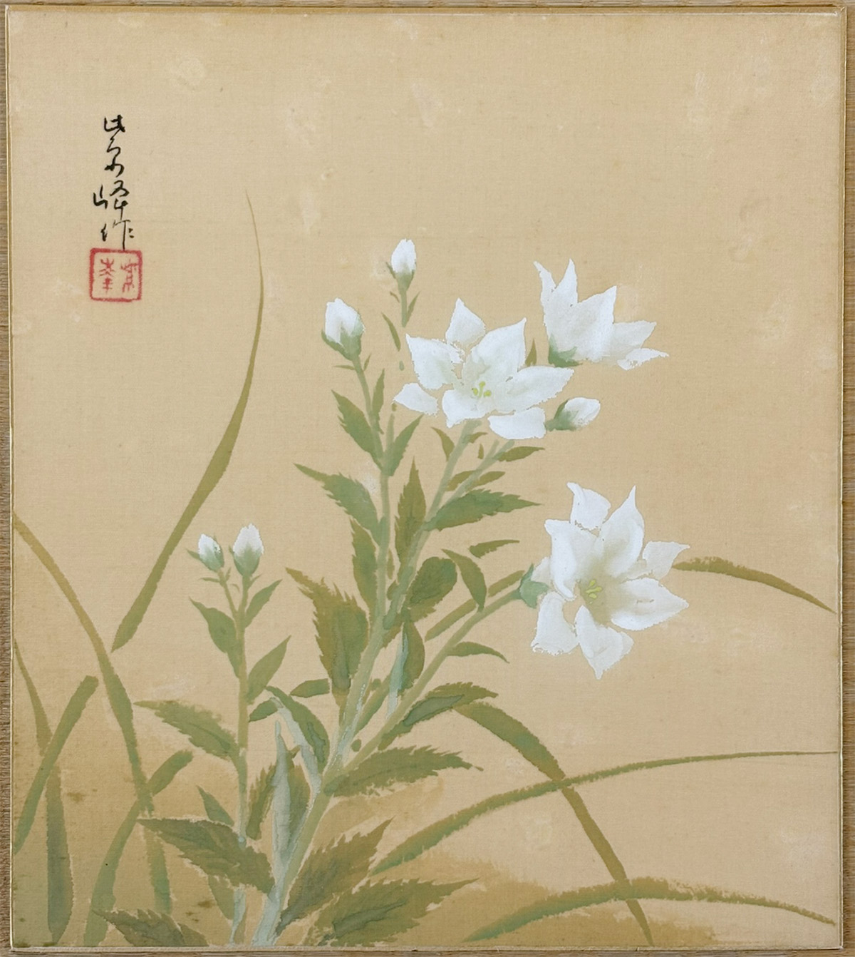 桔梗|色紙
