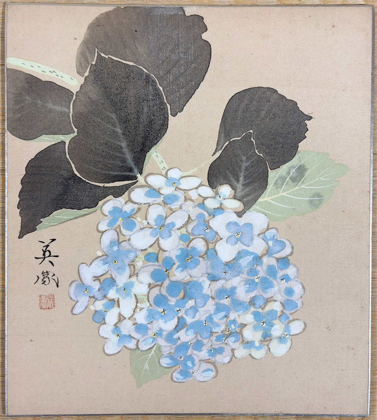 紫陽花｜色紙