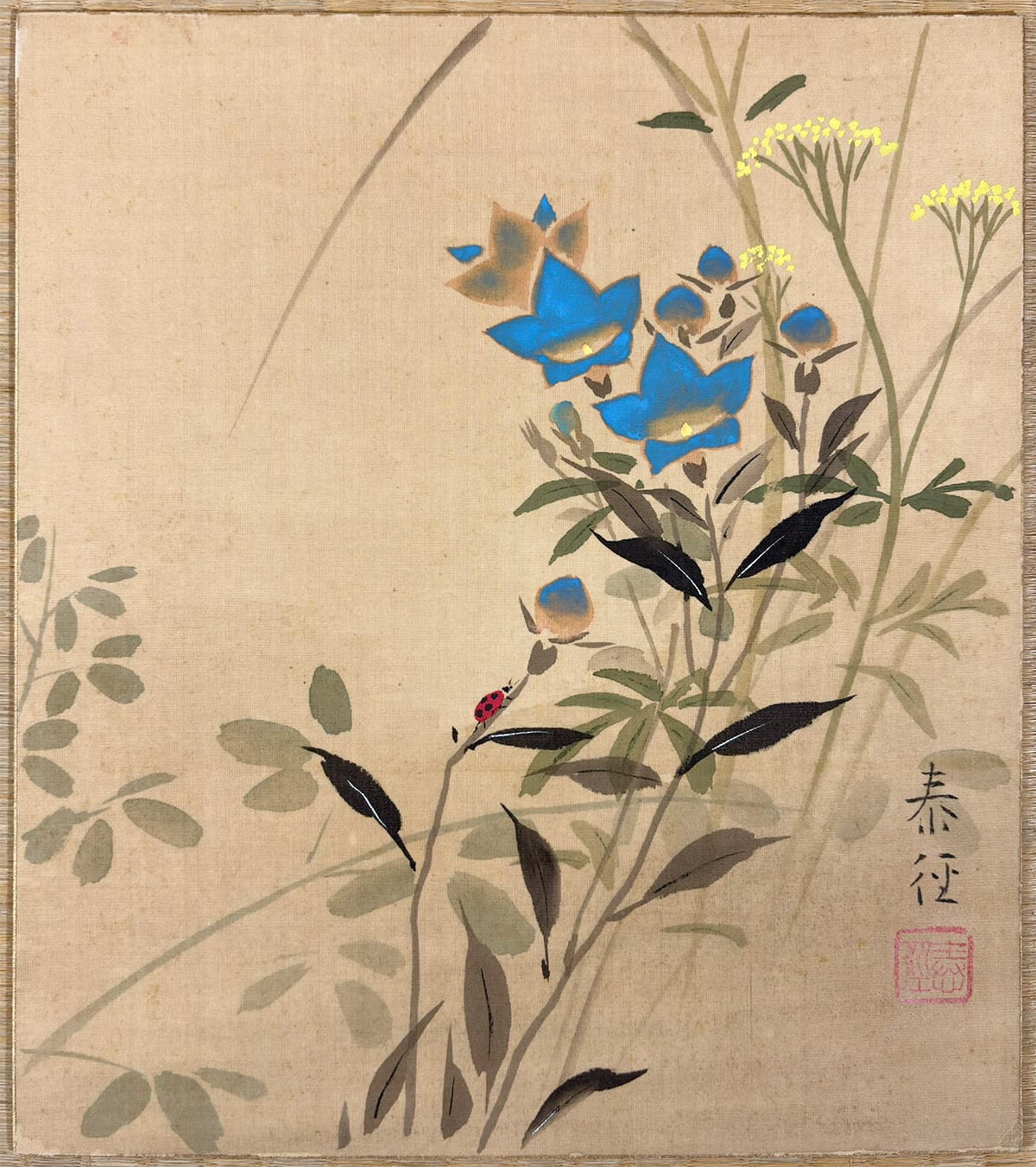 秋草｜色紙