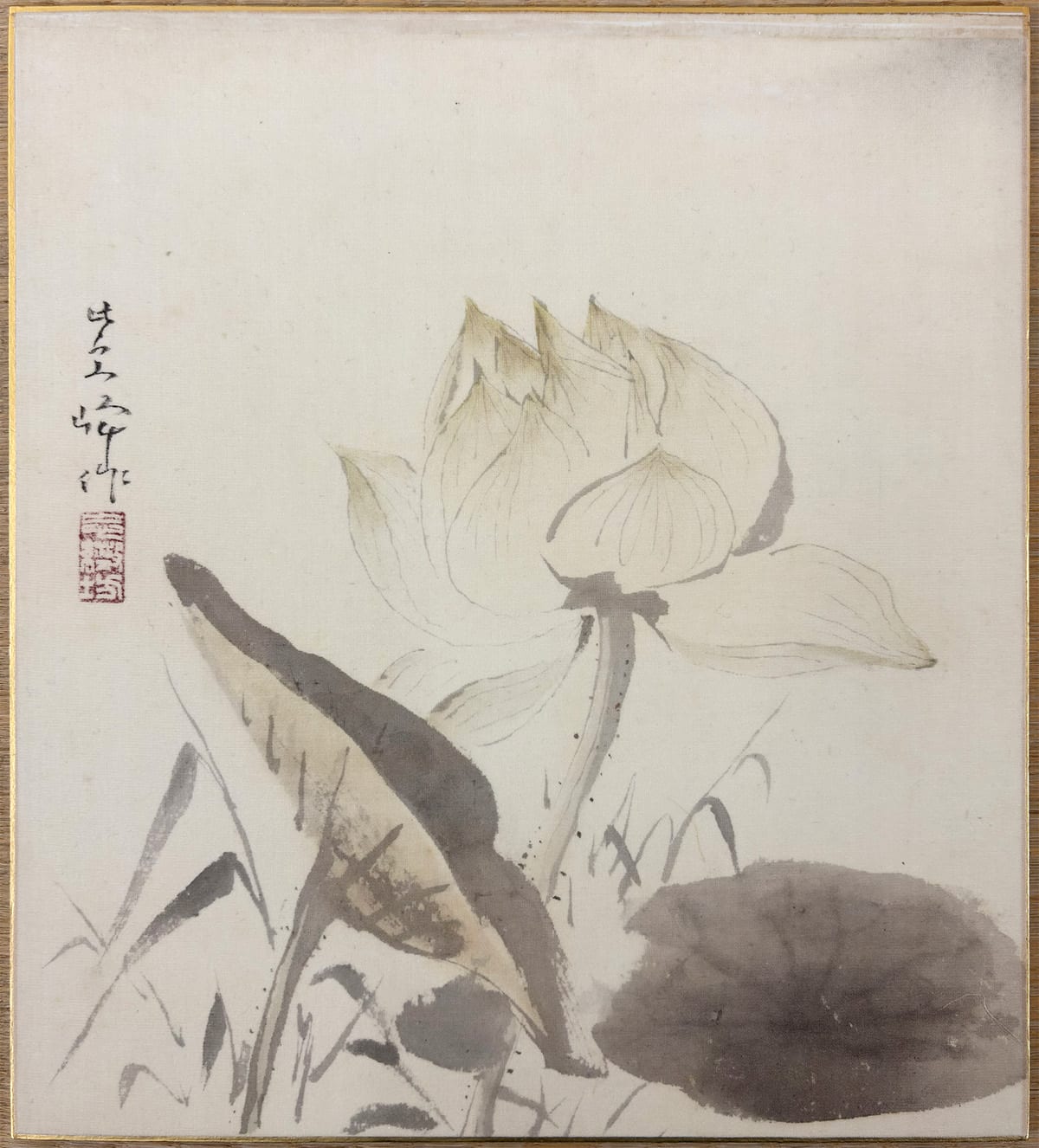 蓮花｜色紙