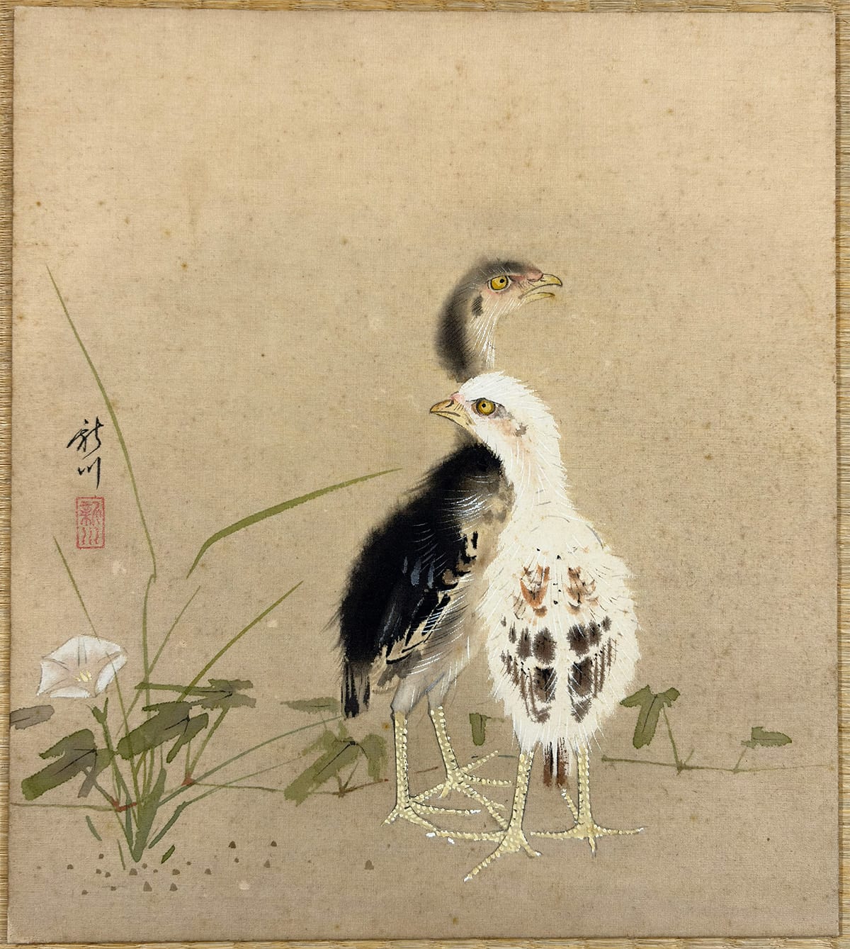 ヒナ｜色紙