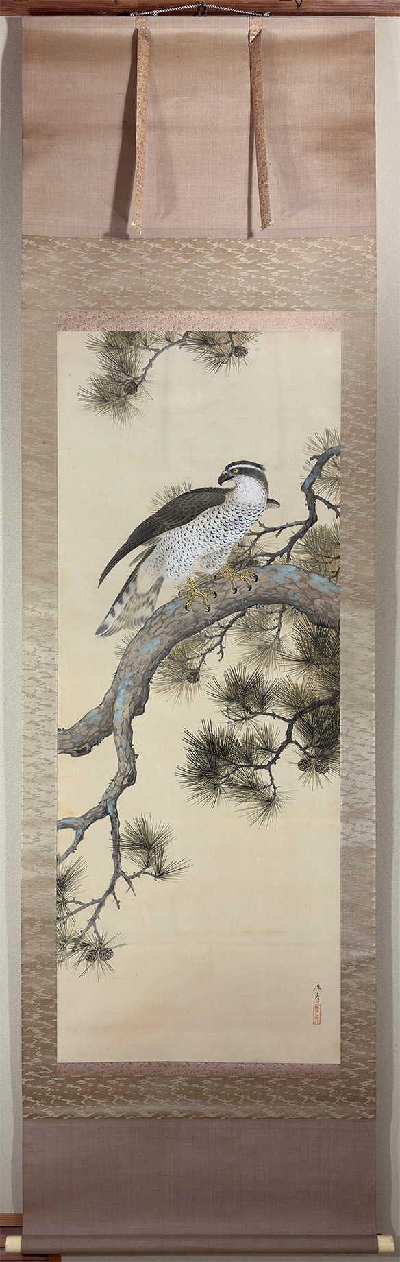 松鷹