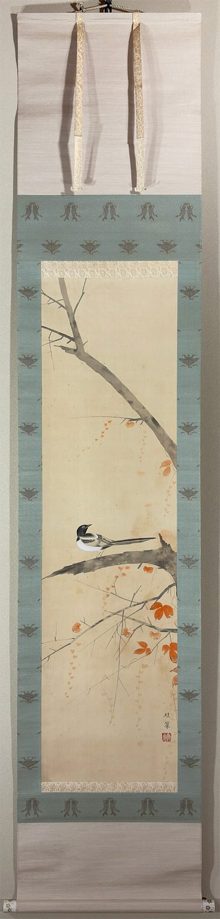 凋秋