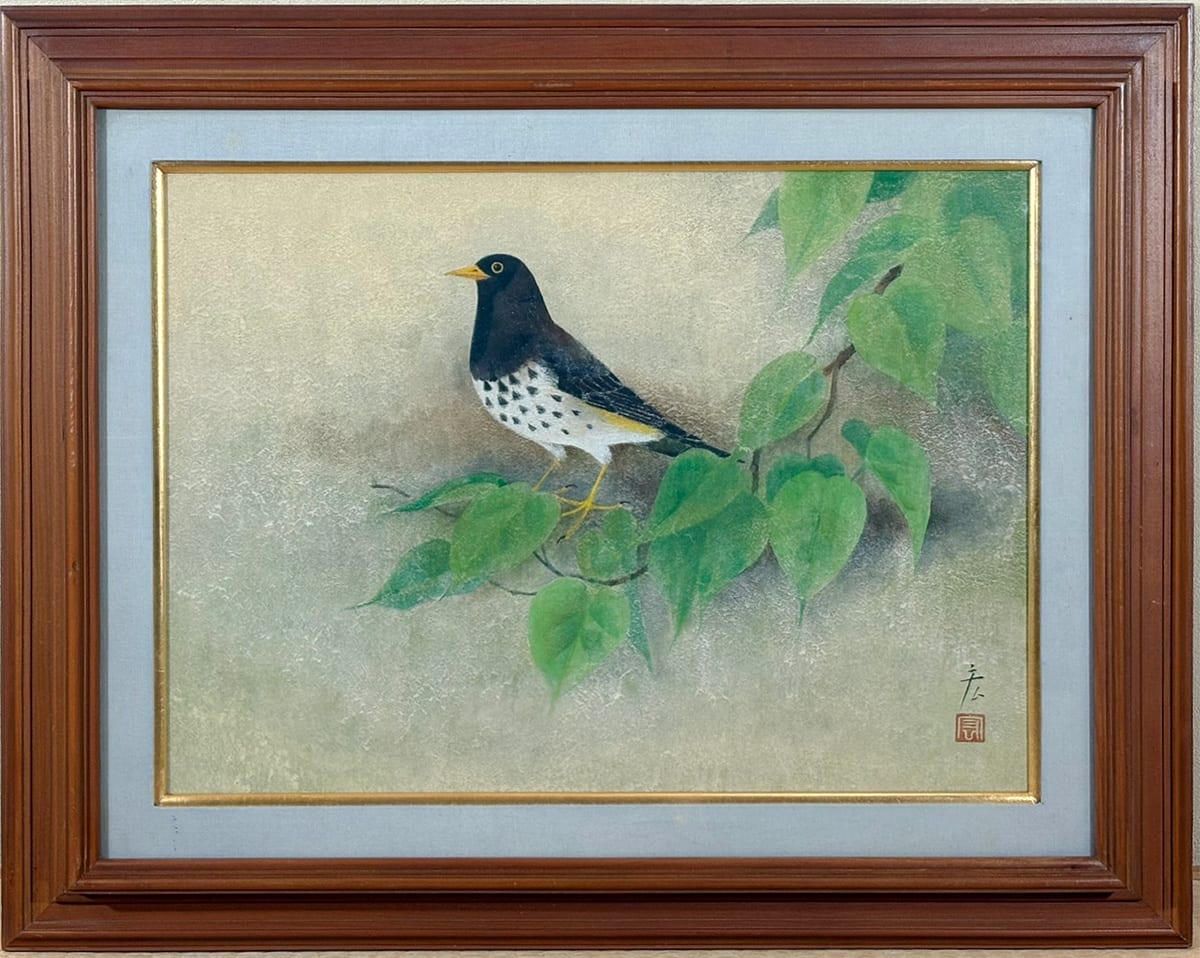 黒鶫（クロツグミ）｜額（8号）