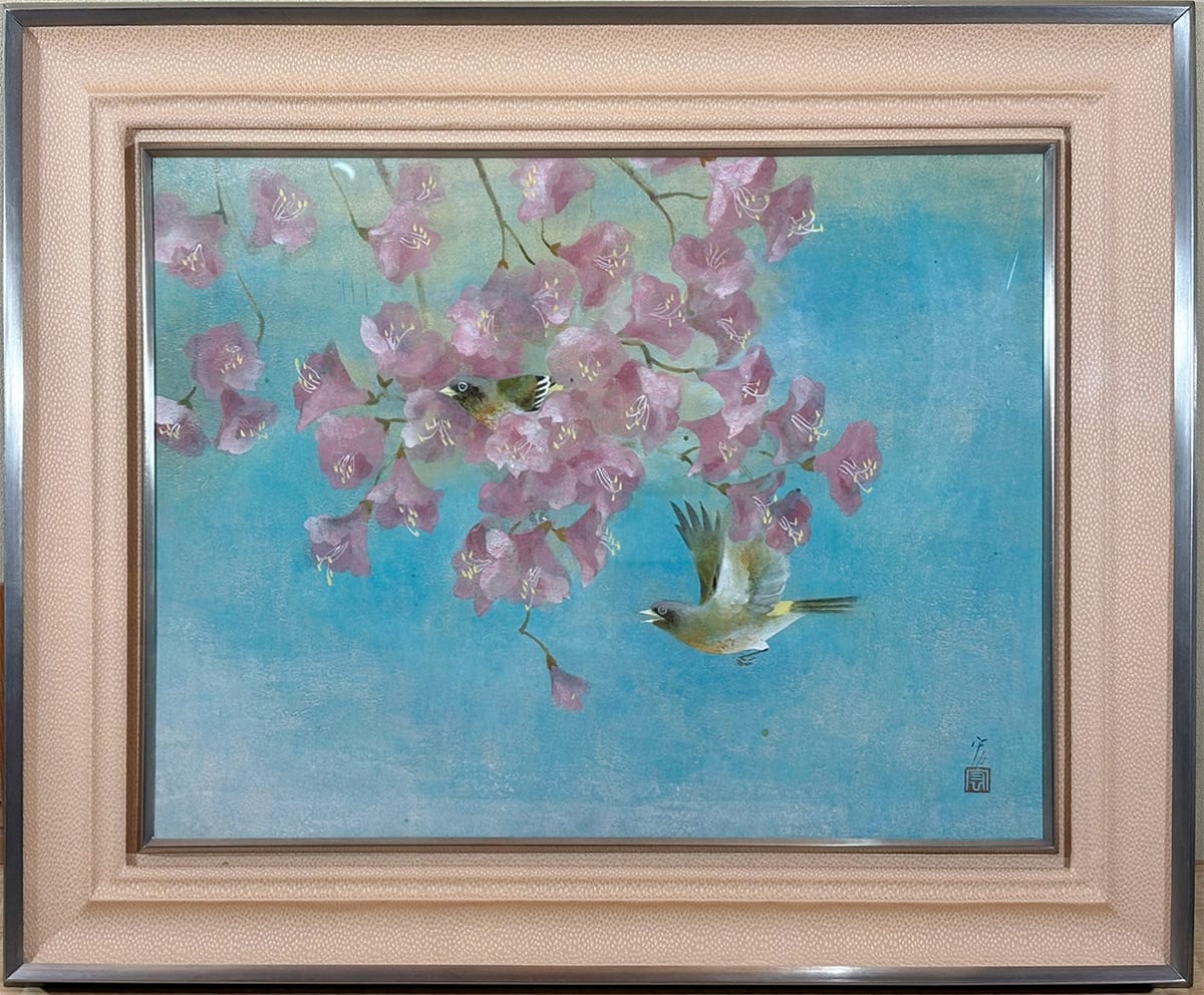 河原鶸（カワラヒワ）｜額