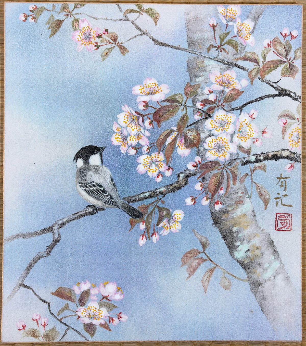 桜 [卯月]｜色紙