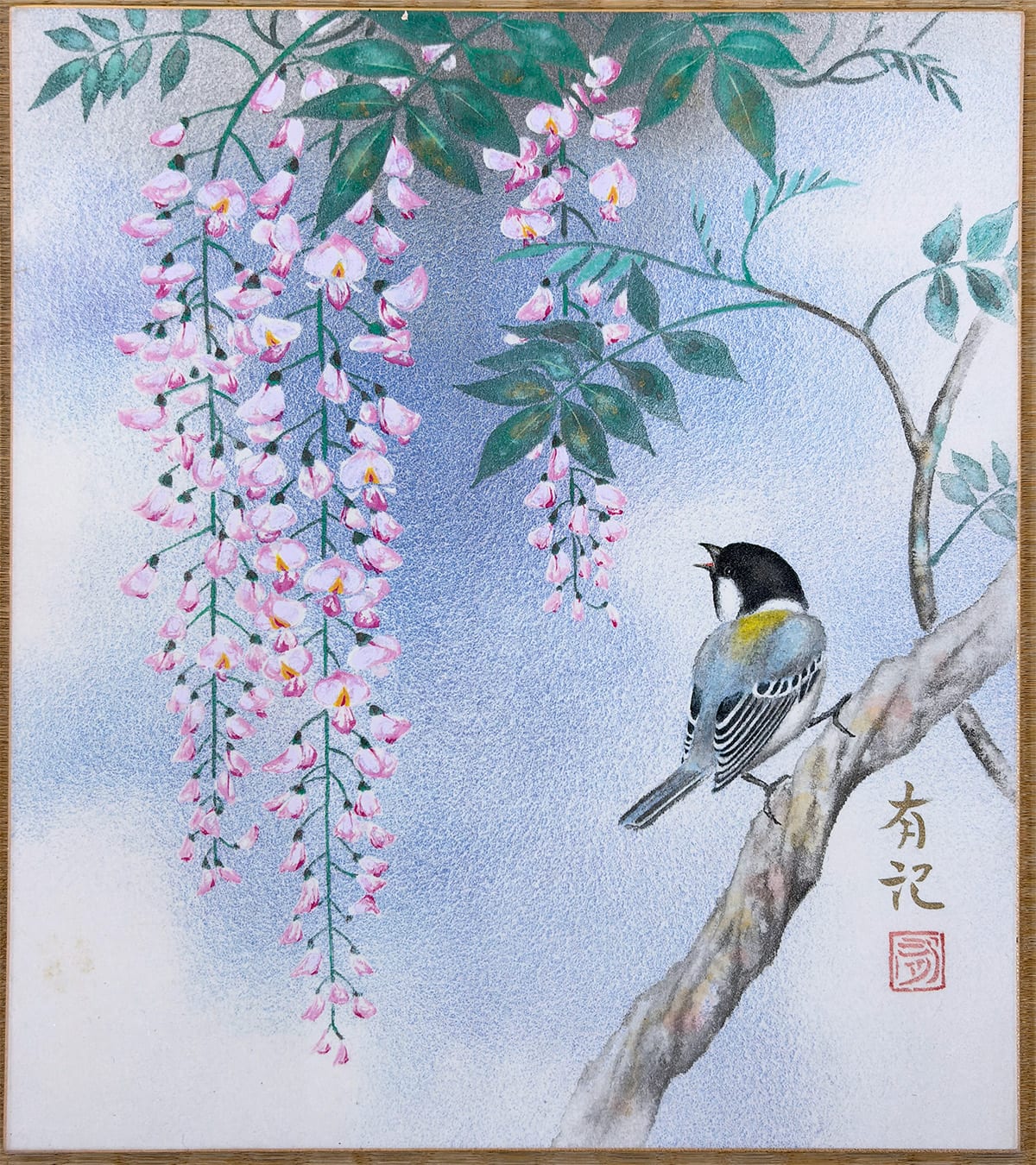 藤 [皐月]｜色紙