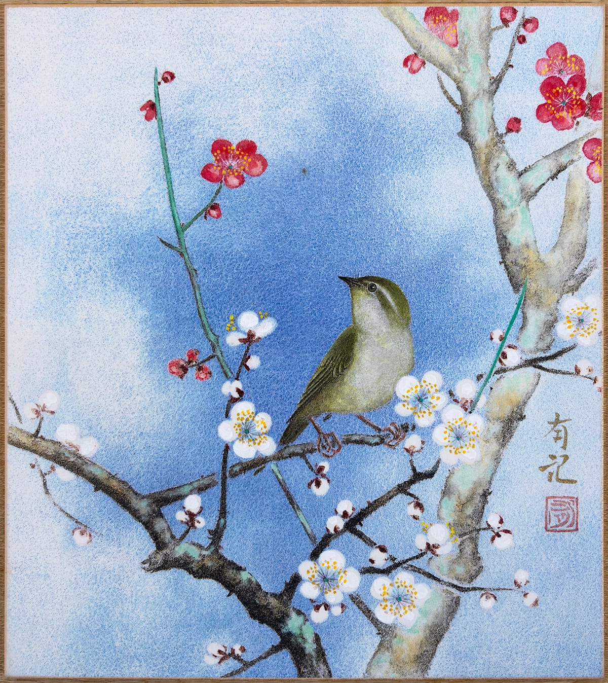 紅白梅 [如月]｜色紙