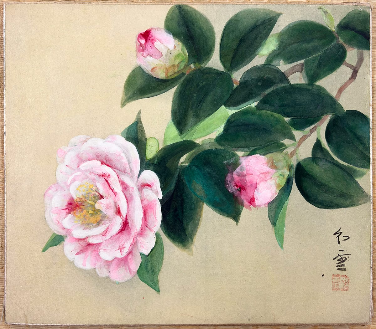 椿｜色紙（横向き）