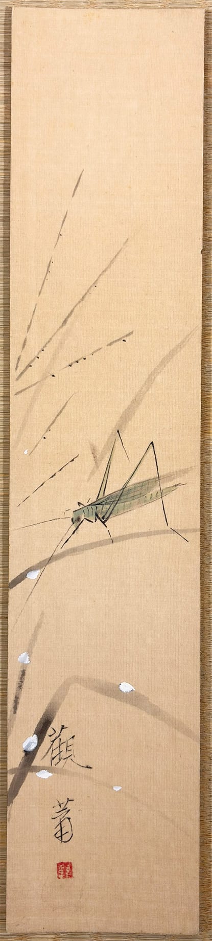 バッタ｜広幅短冊