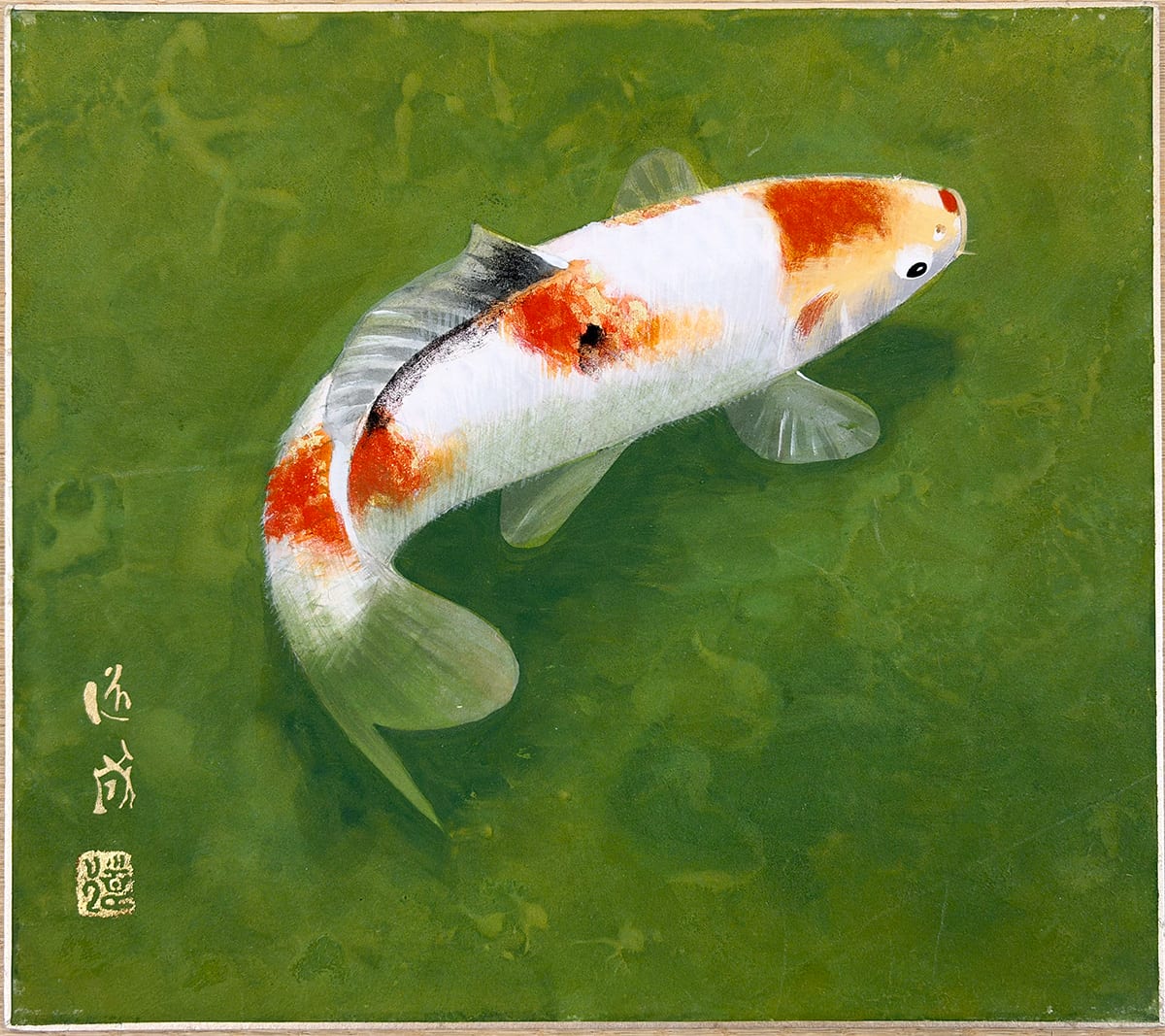 鯉｜色紙（横向き）