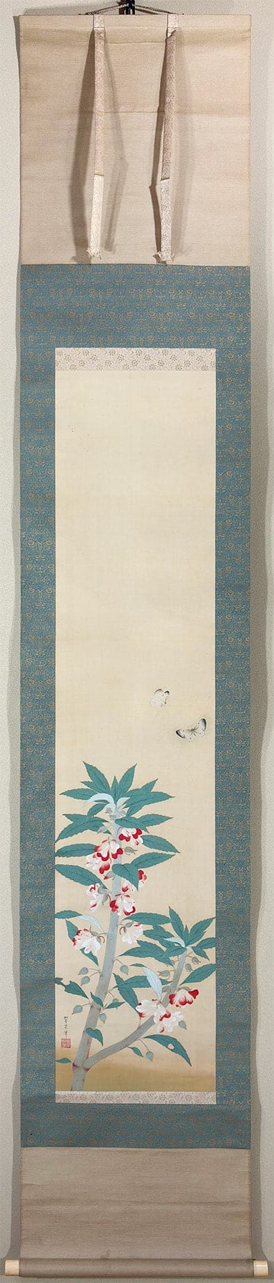 寶僊華（ホウセンカ）