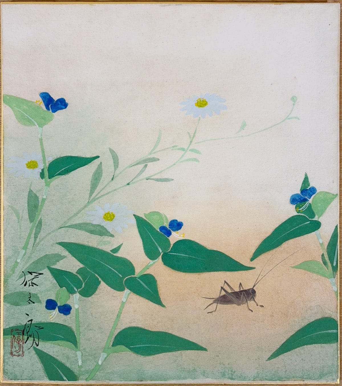 つゆ草｜色紙