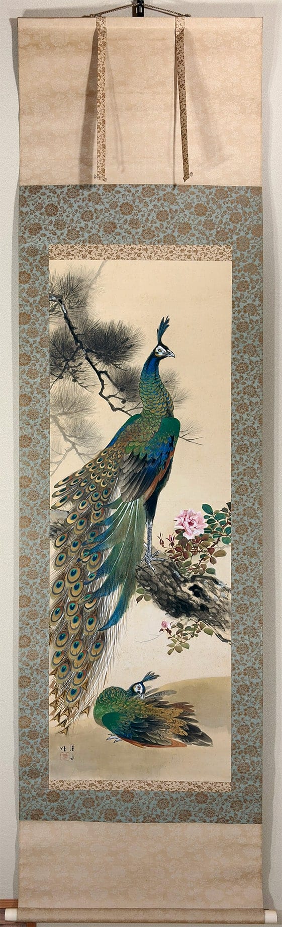 老松孔雀