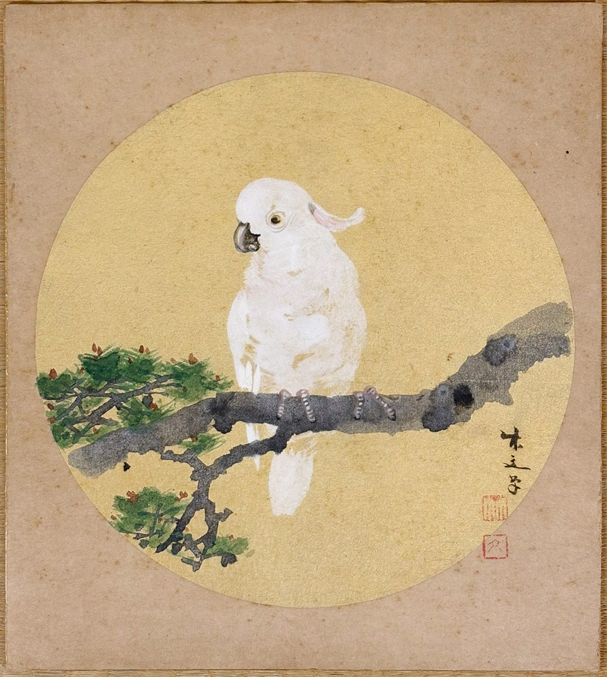 オウム｜色紙