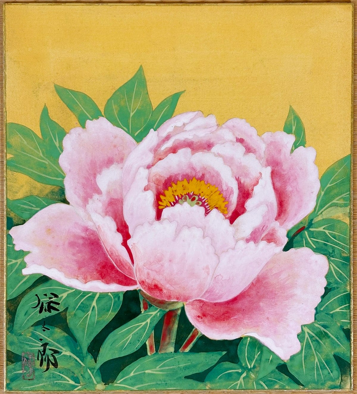 富貴花｜色紙