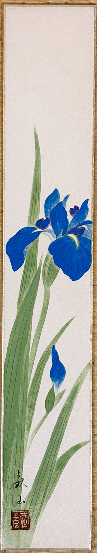 菖蒲｜短冊