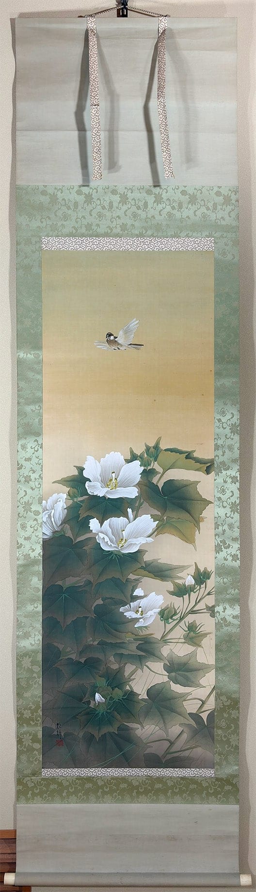 芙蓉