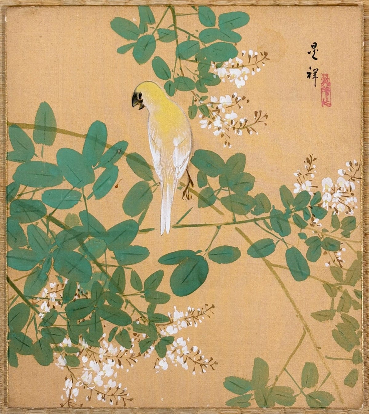 萩花小禽｜色紙
