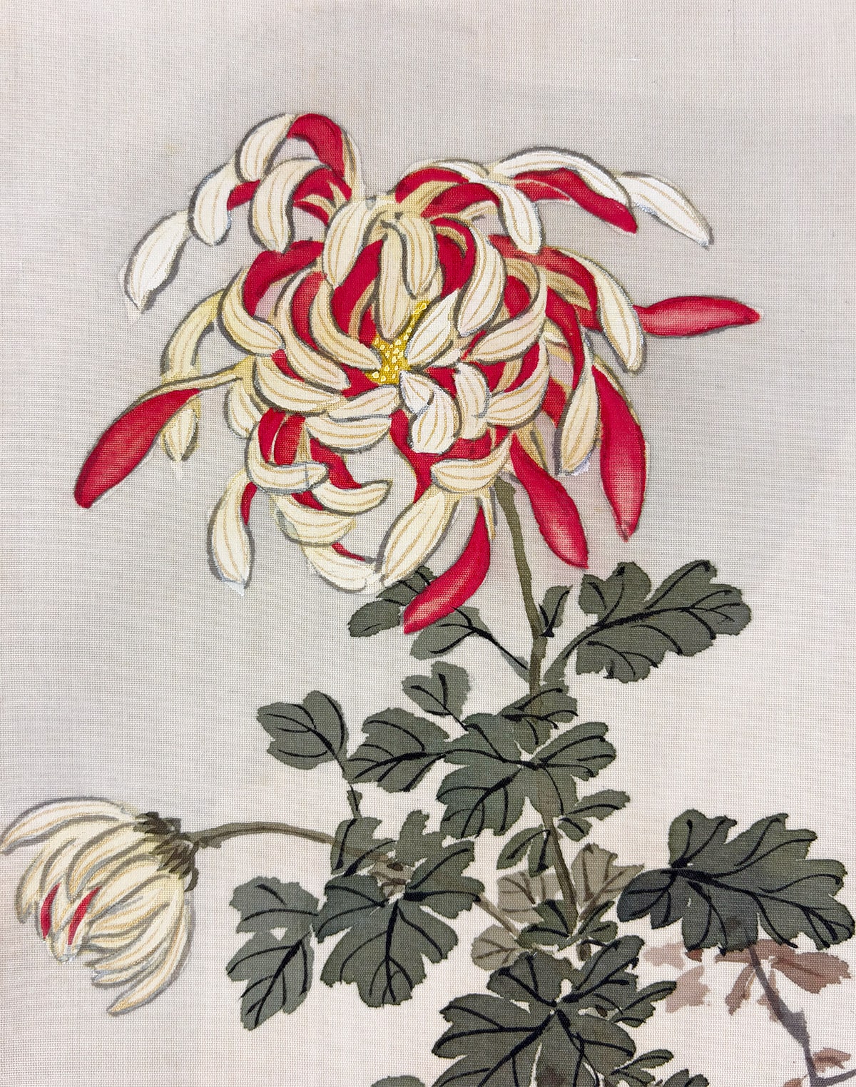 掛軸】菊花雙鳩 - 石河 有粼 作｜掛軸販売・通販・買取の高美堂（こう