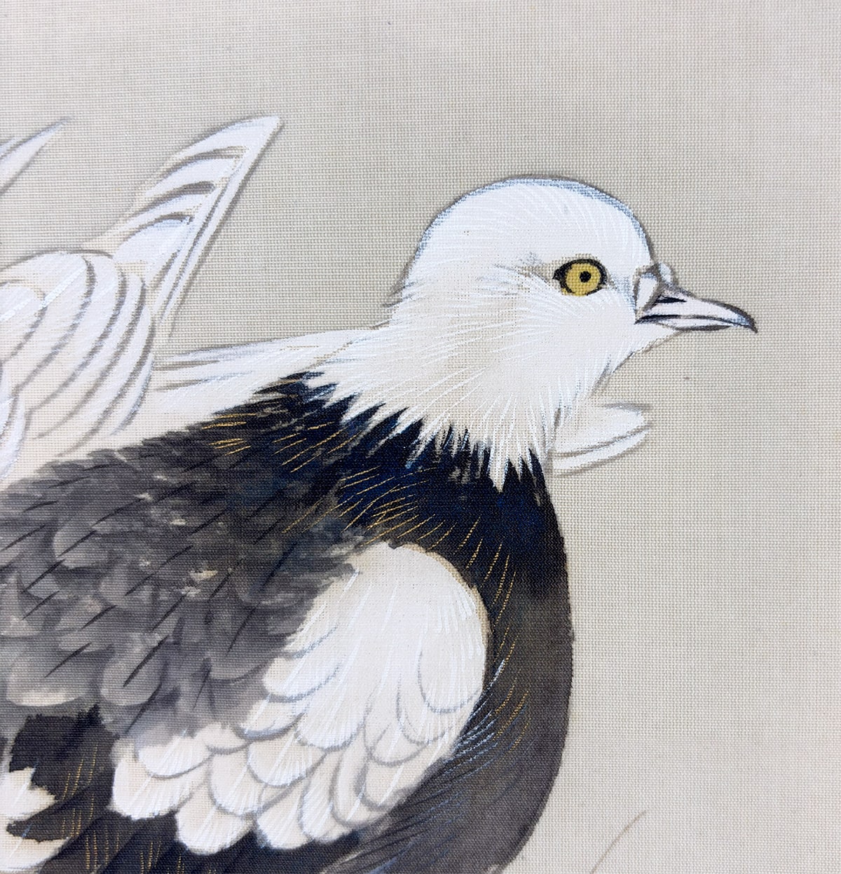 掛軸】菊花雙鳩 - 石河 有粼 作｜掛軸販売・通販・買取の高美堂（こう