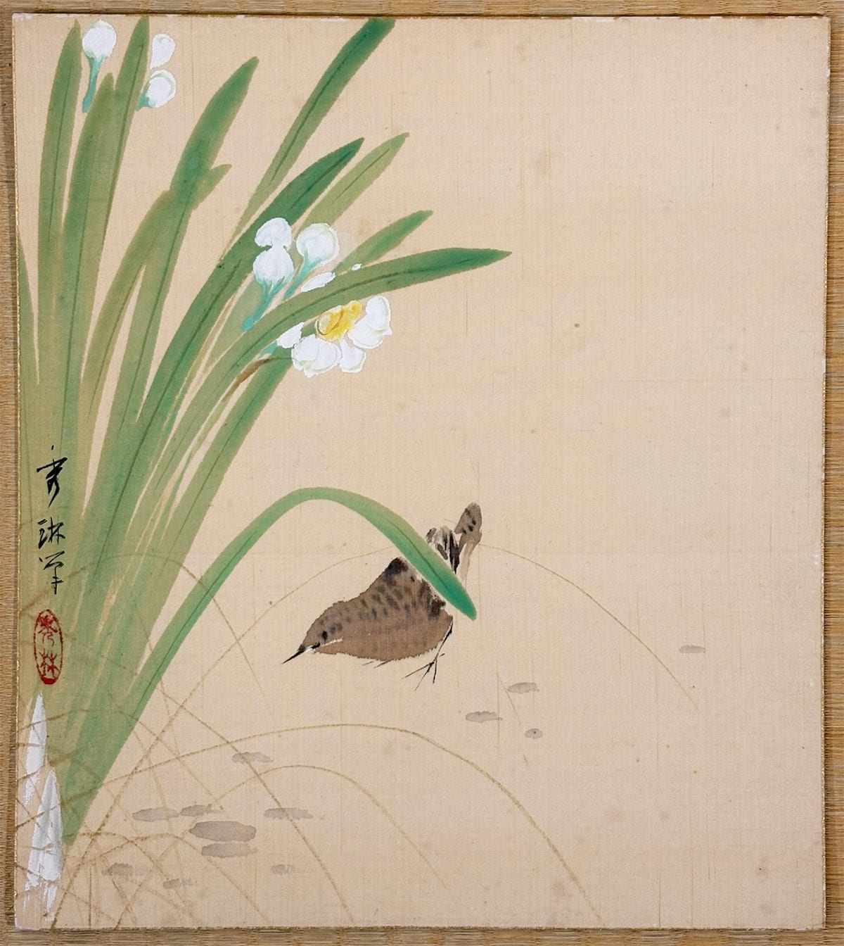 秀琳 【水仙に鷦鷯（ミソサザイ）｜色紙】 色紙・短冊 - Japanese shikishi and tanzaku board painting