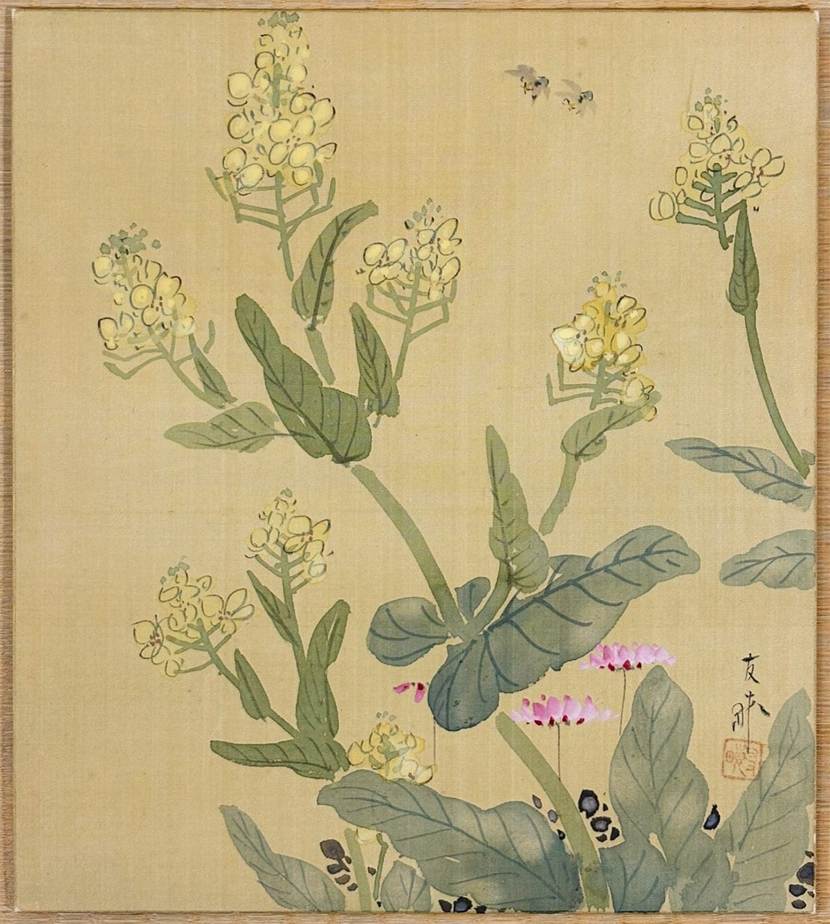 新村 友畝 【菜の花｜色紙】 色紙・短冊 - Niimura Yuuho, Japanese shikishi and tanzaku board painting
