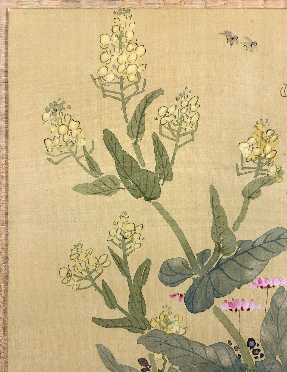 新村 友畝 【菜の花｜色紙】 色紙・短冊 詳細写真