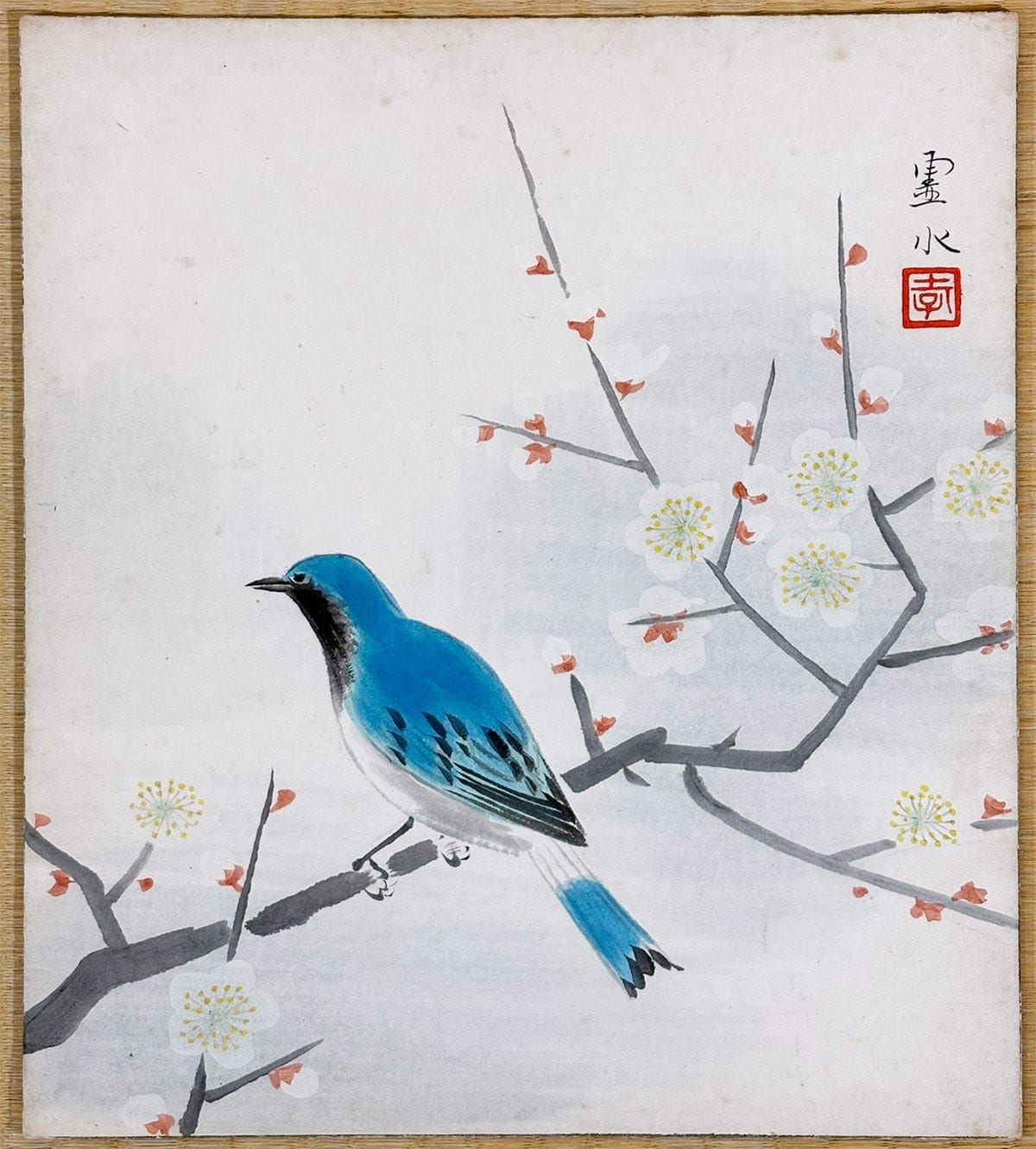 金山 霊水 【梅花小禽｜色紙】 色紙・短冊 - Kanayama Reisui, Japanese shikishi and tanzaku board painting